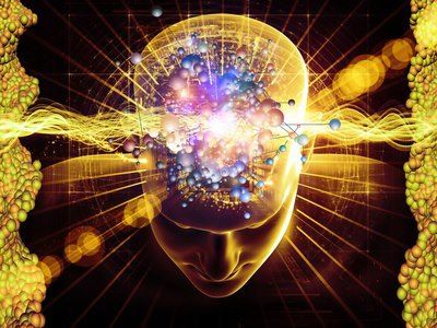 Quantum Mind Aligned